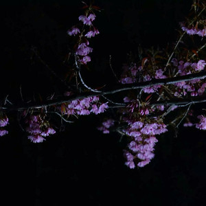 偷窥丶亚洲丶少妇
